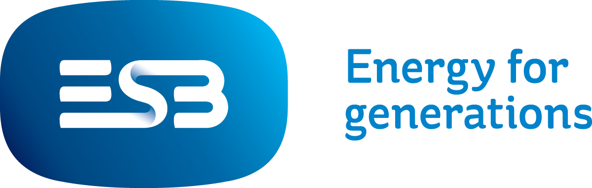 ESB brandmark strapline pos 2014 ESB brandmark strapline pos 2014